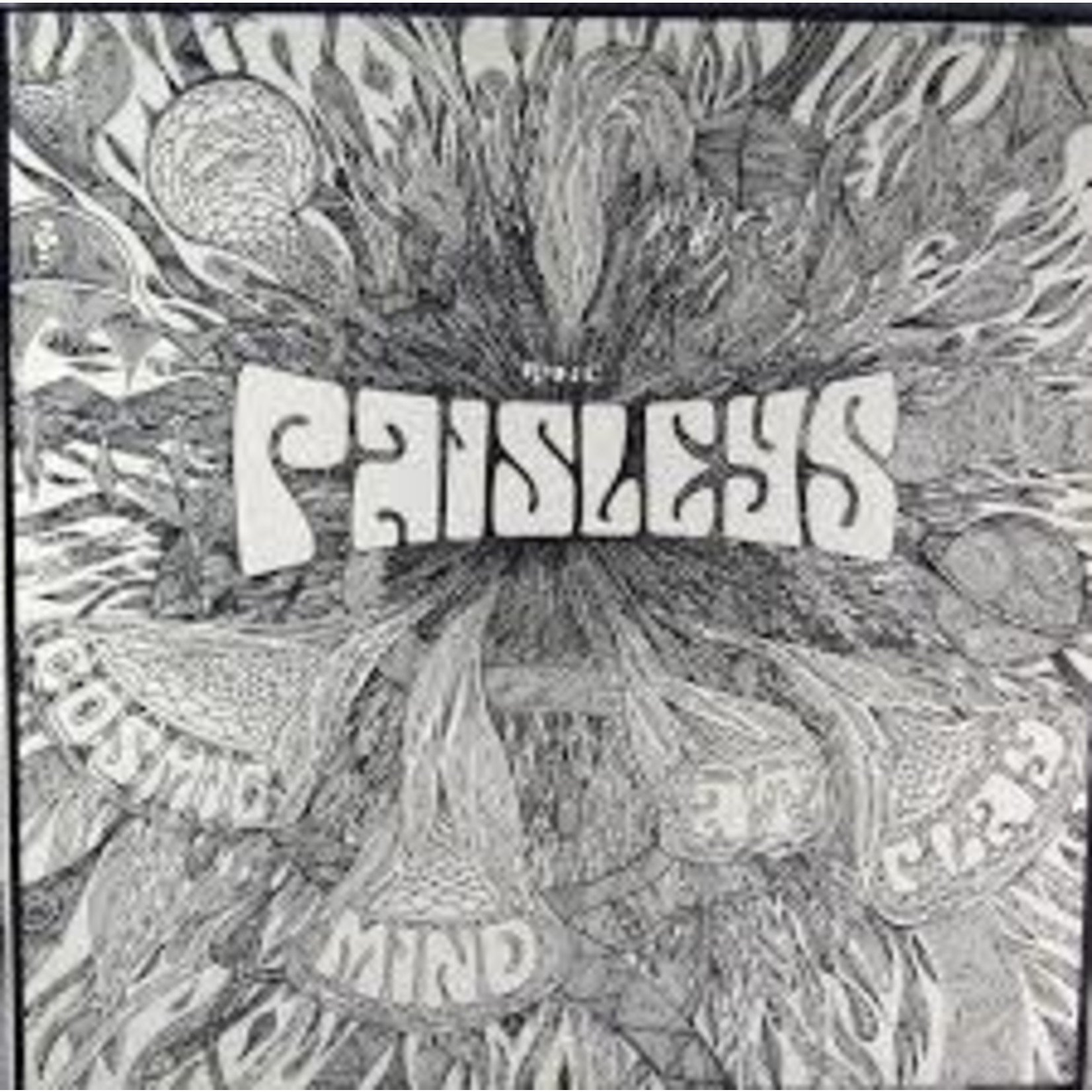 Vinyl The Paisleys - Cosmic Mind At Play