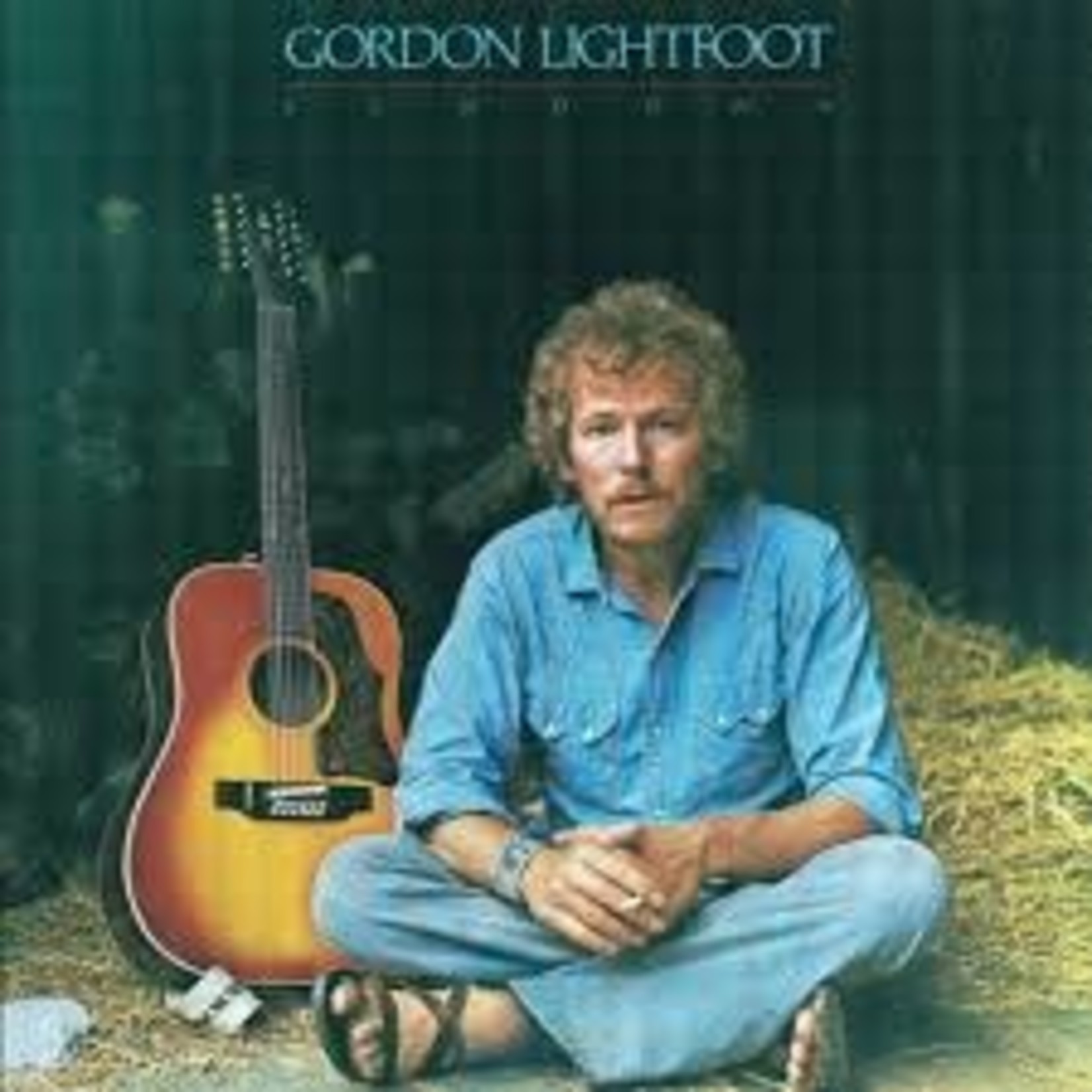 Vinyl Gordon Lightfoot - Sundown