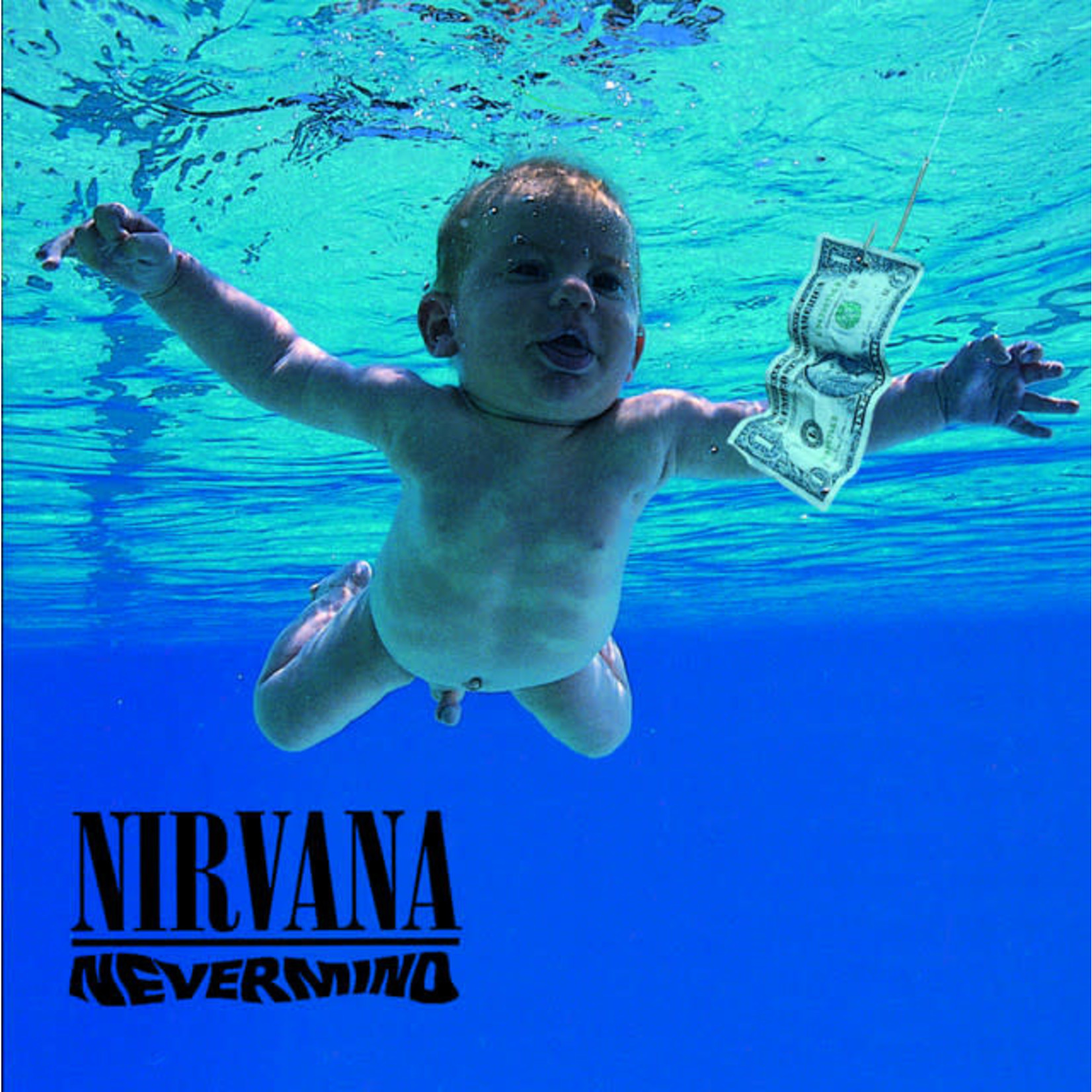 Vinyl Nirvana - Nevermind