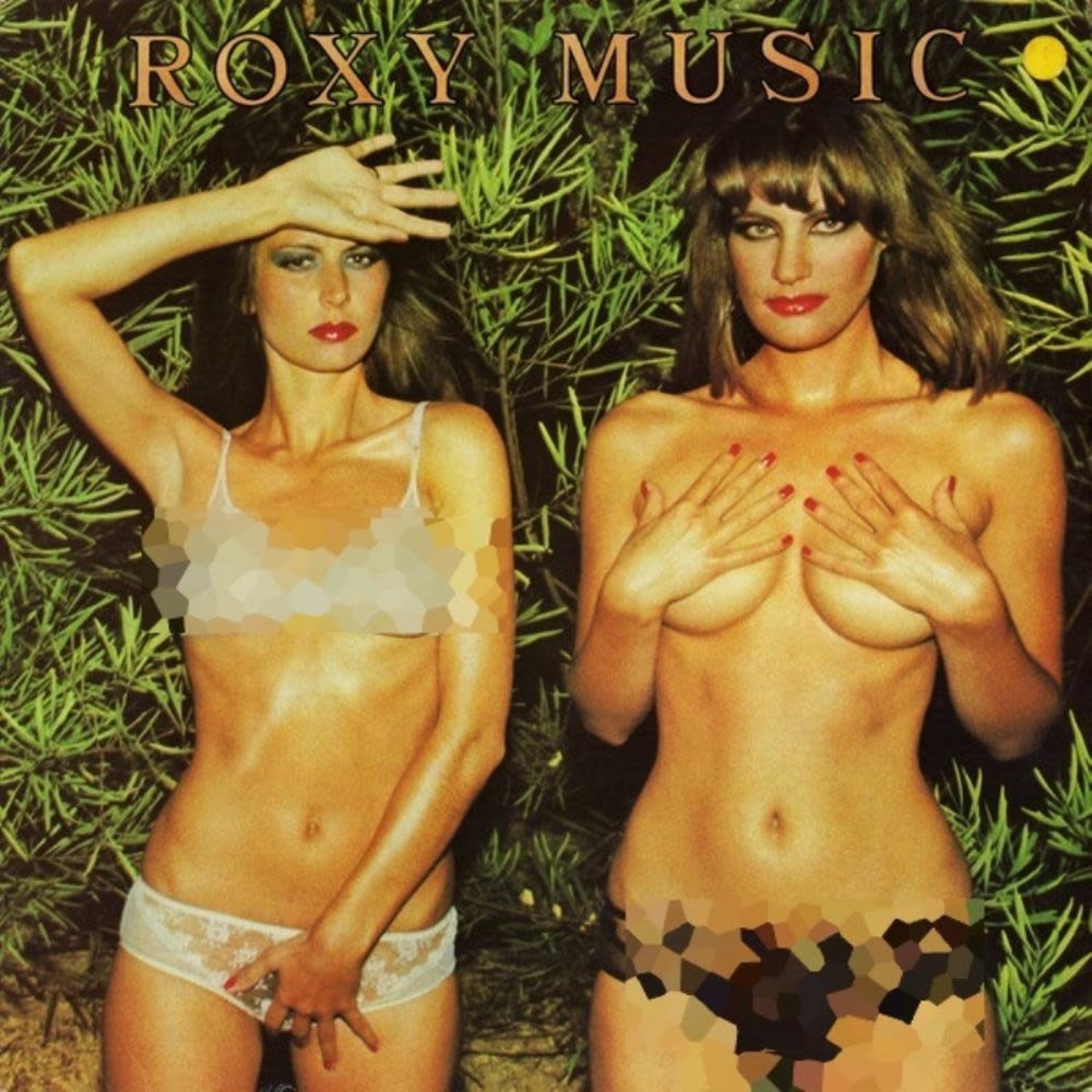 Vinyl Roxy Music - Country Life (Half Speed Mastered(