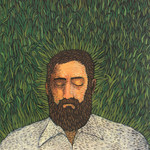 Vinyl Iron & Wine - Endless Numbered Days