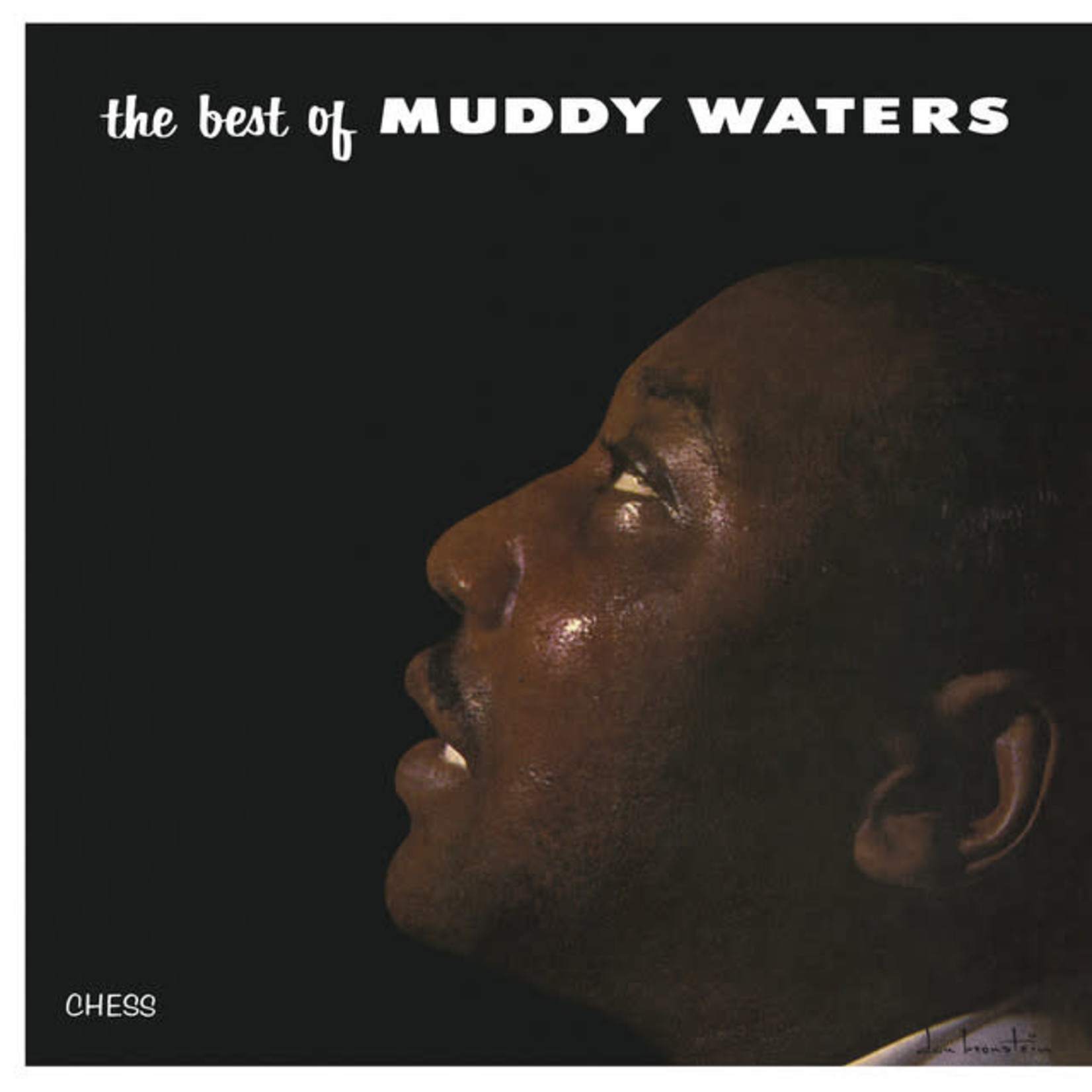 Vinyl Muddy Waters - The Best Of. (Gatefold)