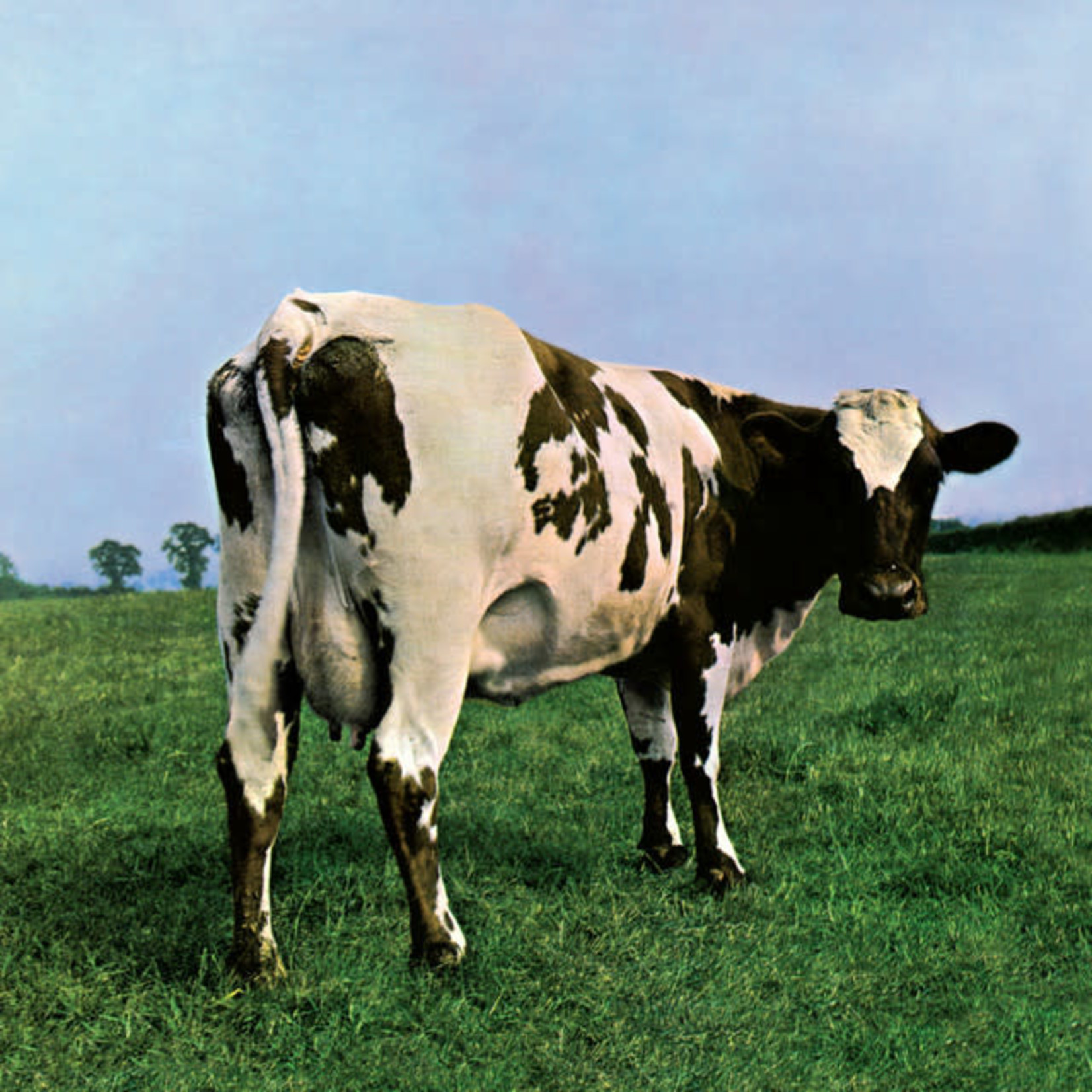 Vinyl Pink Floyd - Atom Heart Mother