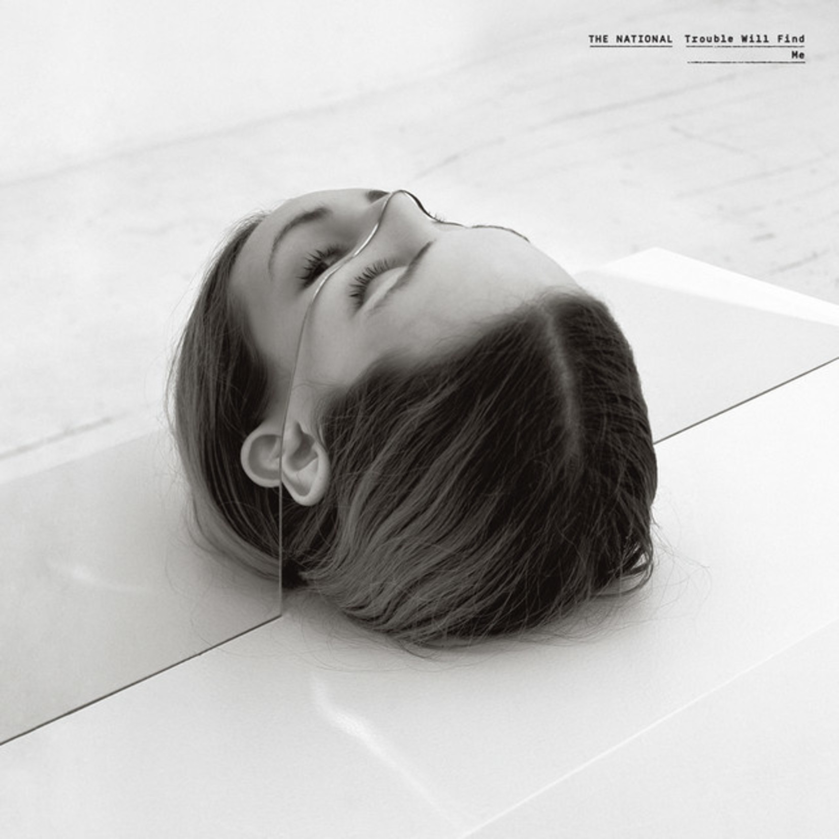 Vinyl The National - Trouble Will Find Me
