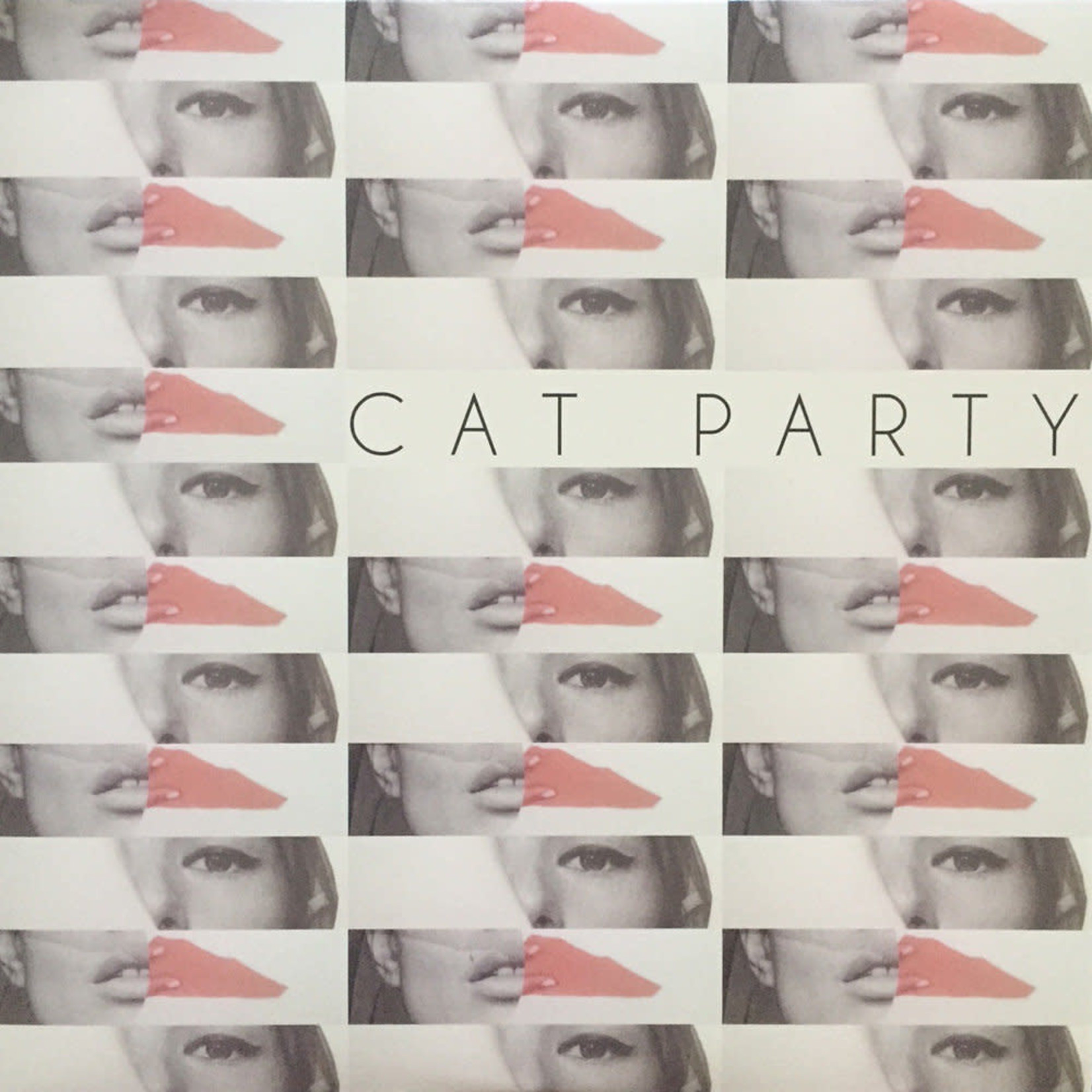 Vinyl Cat Party - Rest in Post