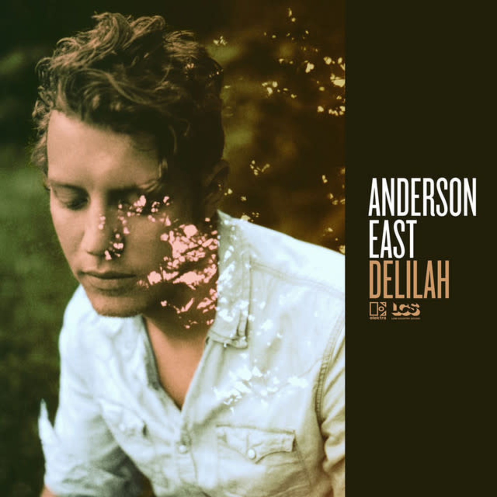 Vinyl Anderson East - Delilah