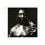 Vinyl Muddy Waters - After The Rain