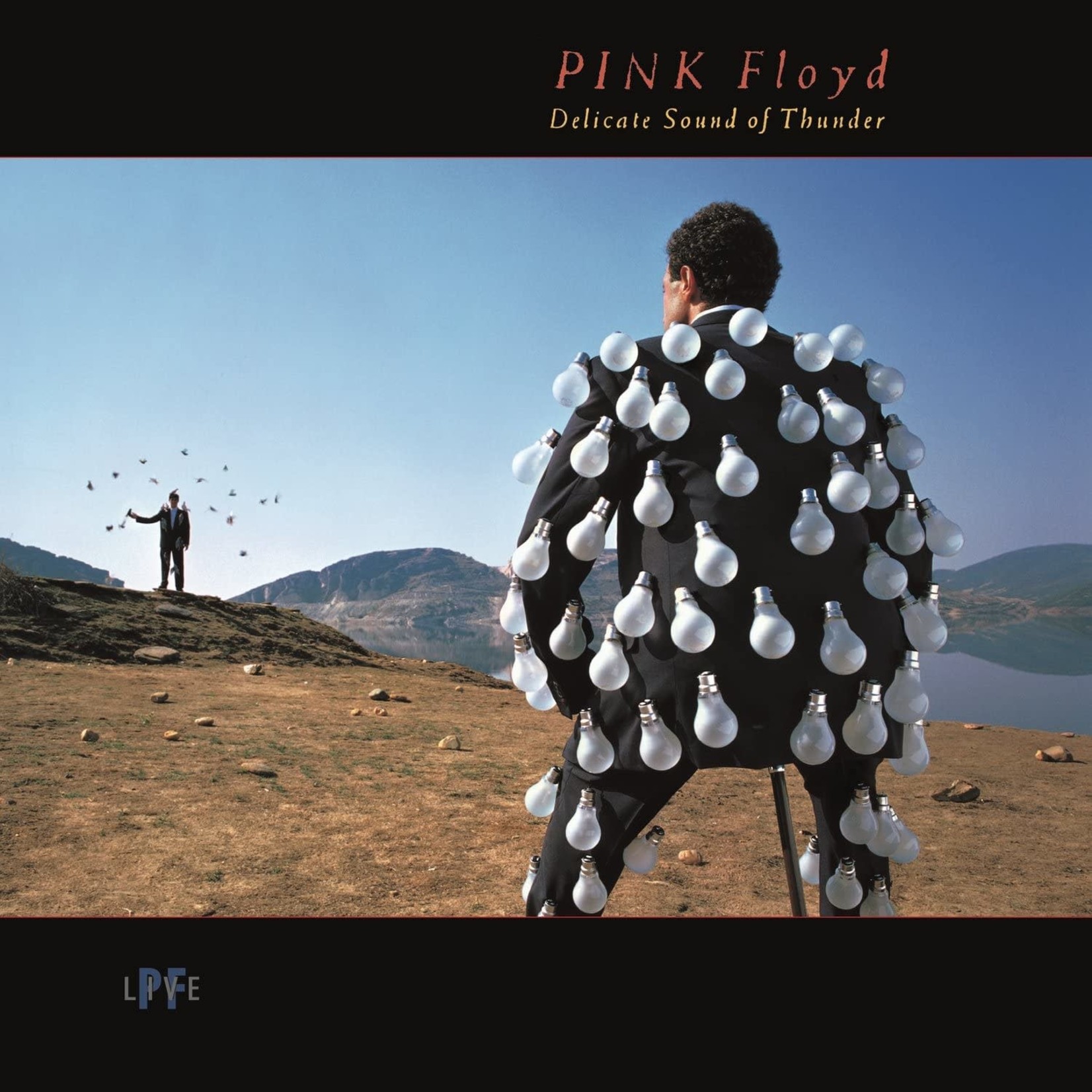 Vinyl Pink Floyd - Delicate Sound of Thunder