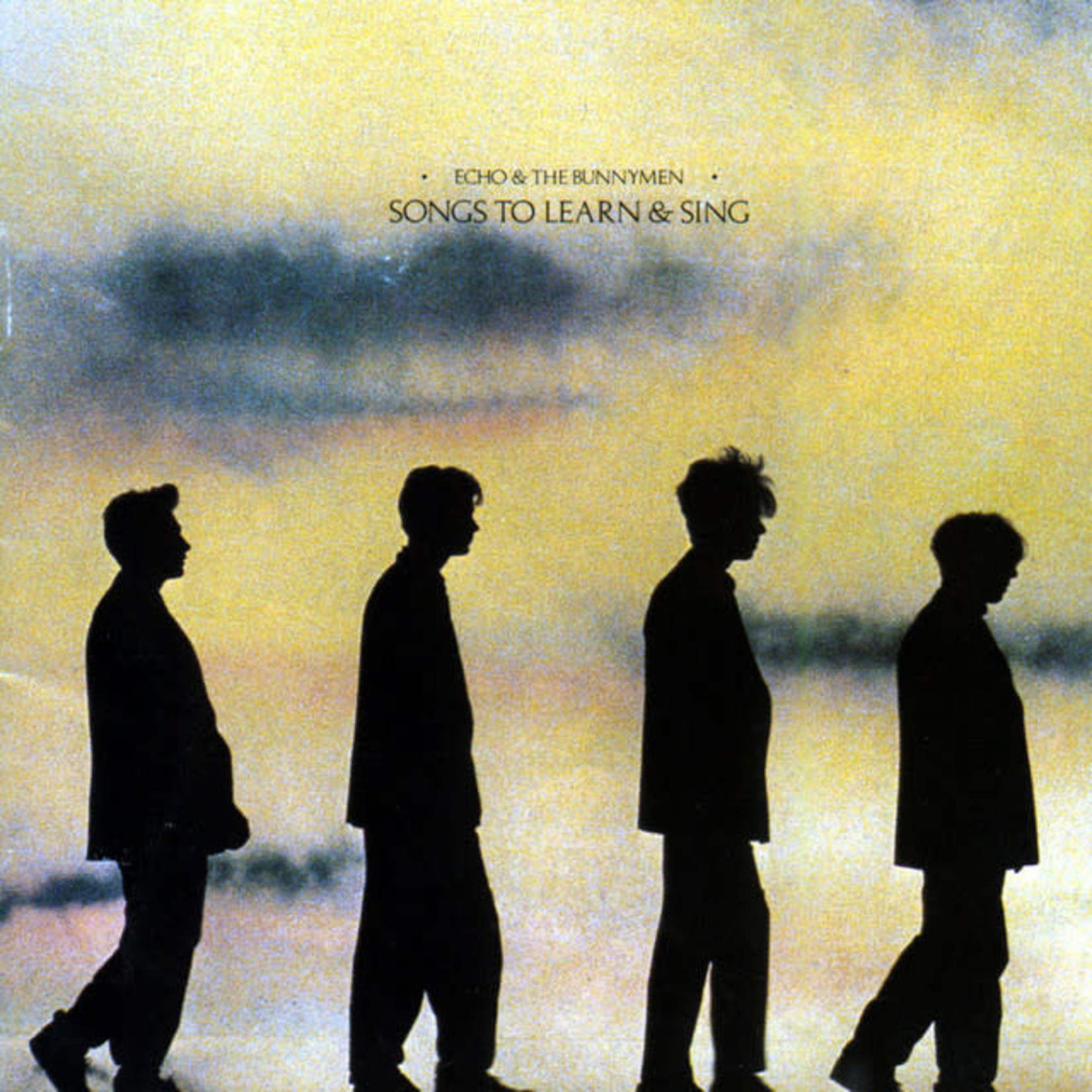 Vinyl Echo & The Bunnymen - Songs To  Learn & Sing