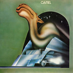 Vinyl Camel - ST