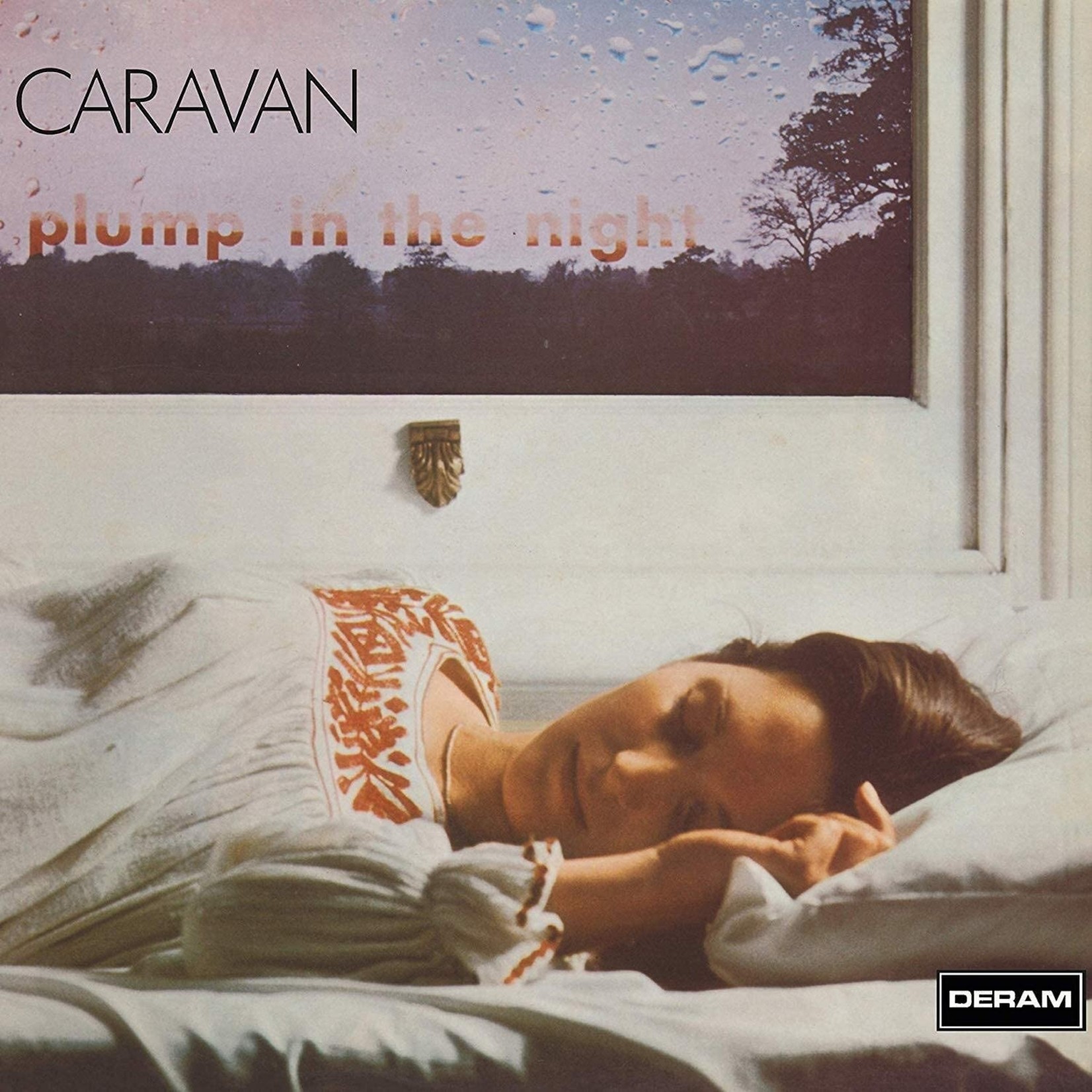 Vinyl Caravan - Plump in the Night