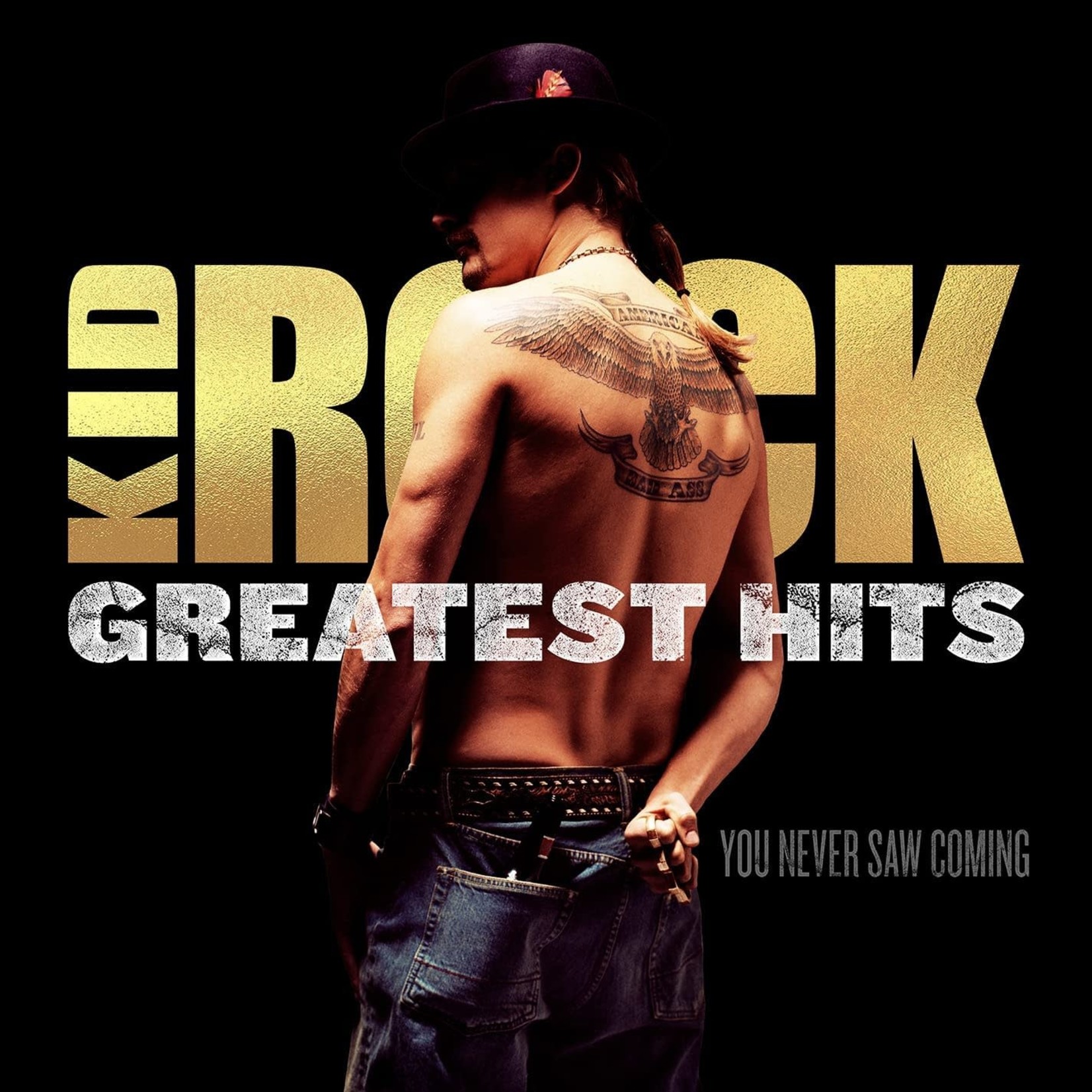 Vinyl Kid Rock -  Greatest Hits: You Never Saw Coming