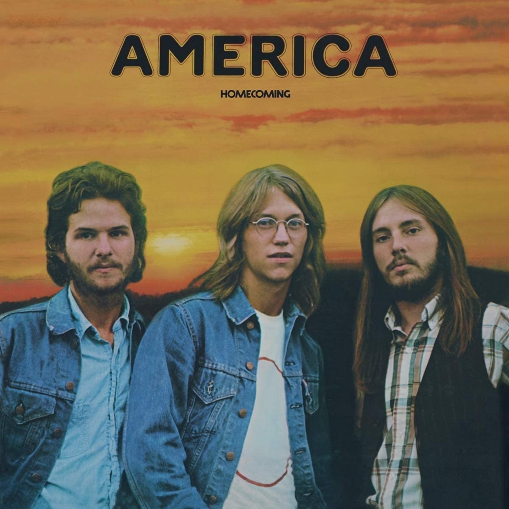 Vinyl America - Homecoming