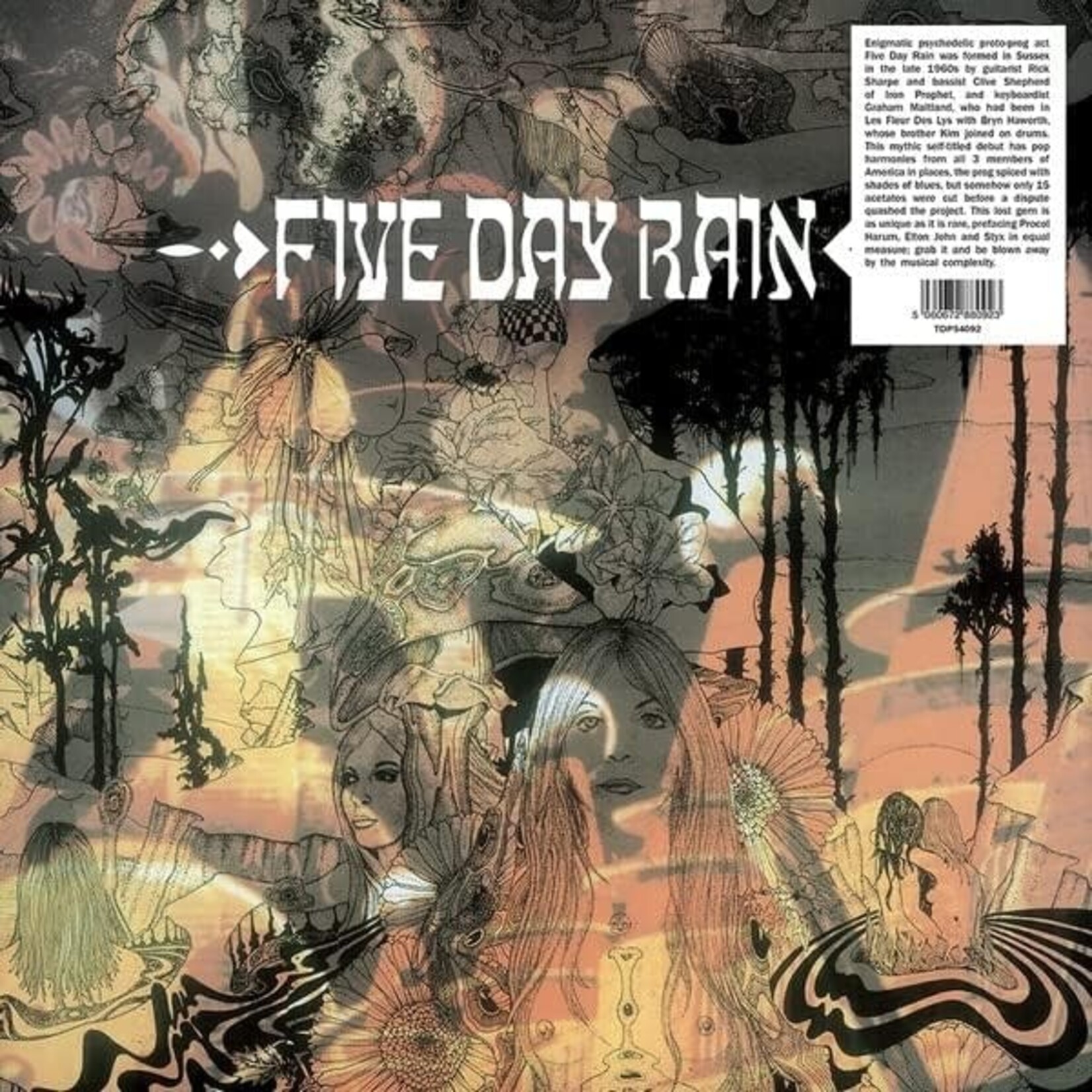 Vinyl Five Day Rain - S/T