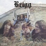 Vinyl Brigg - S/T