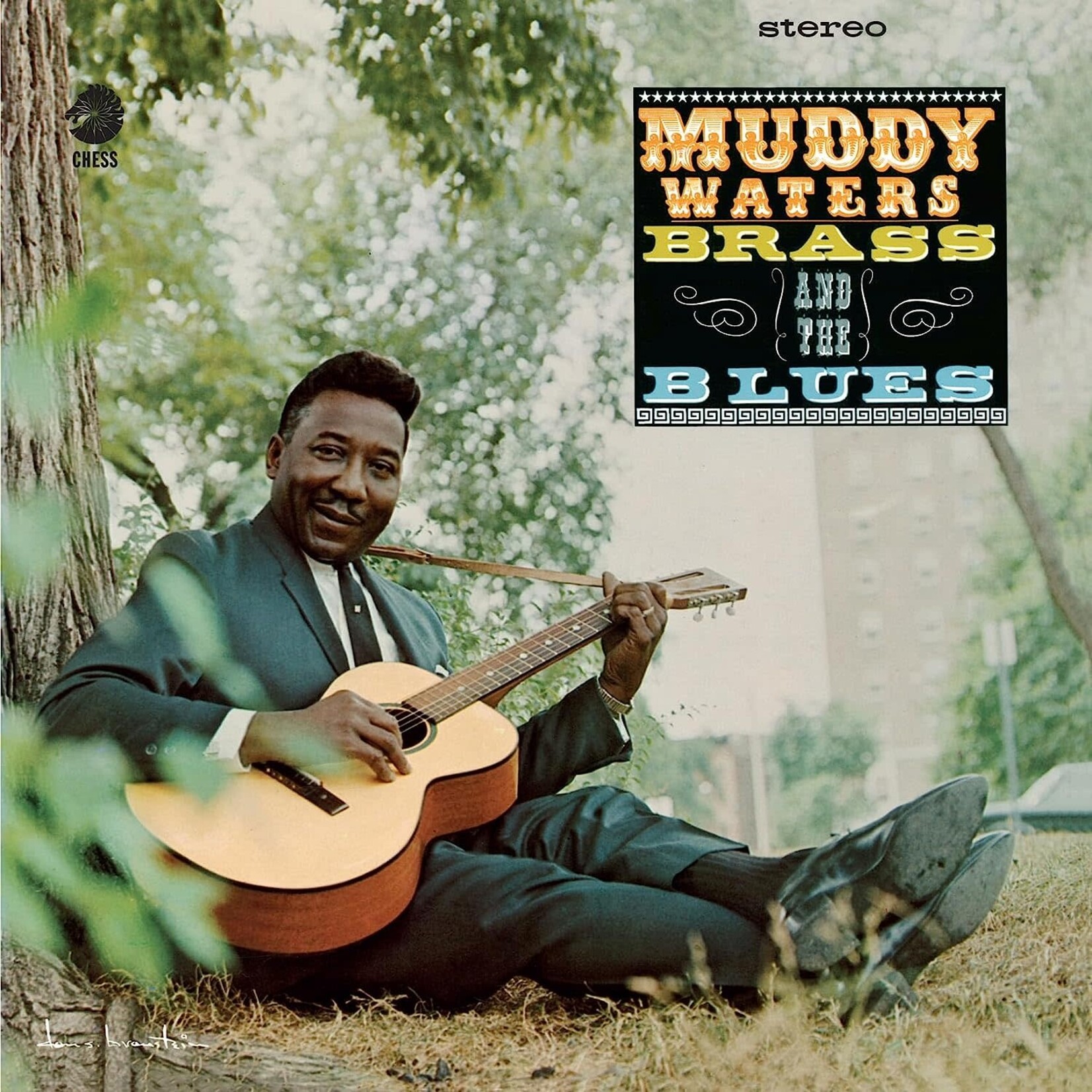 Vinyl Muddy Waters - Brass and the Blues