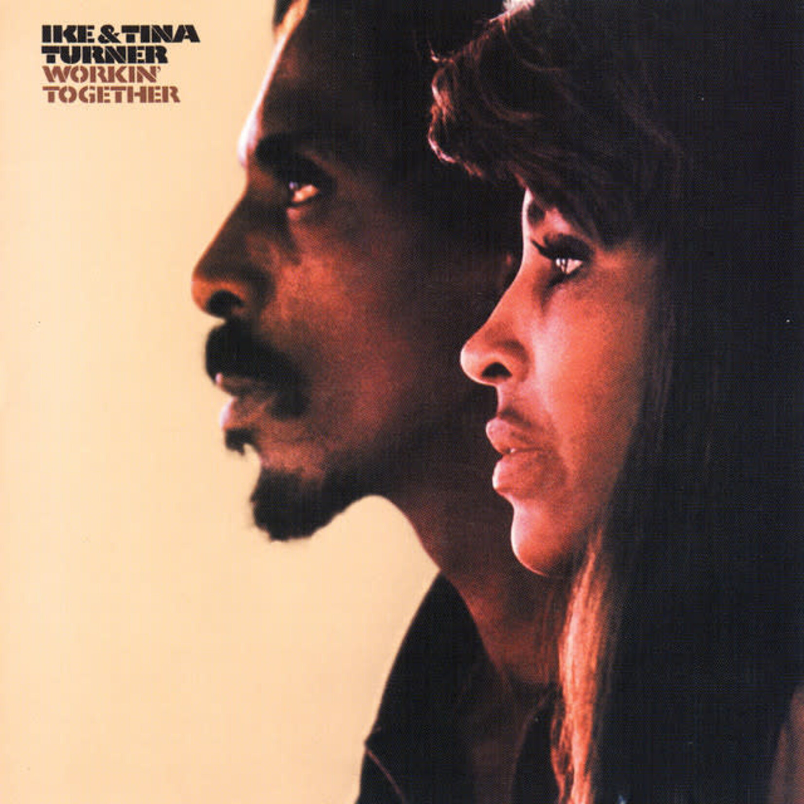 Vinyl Ike & Tina Turner - Workin' Together