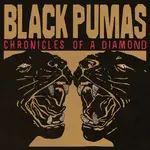 Vinyl Black Pumas - Chronicles of a Diamond (Red Vinyl)