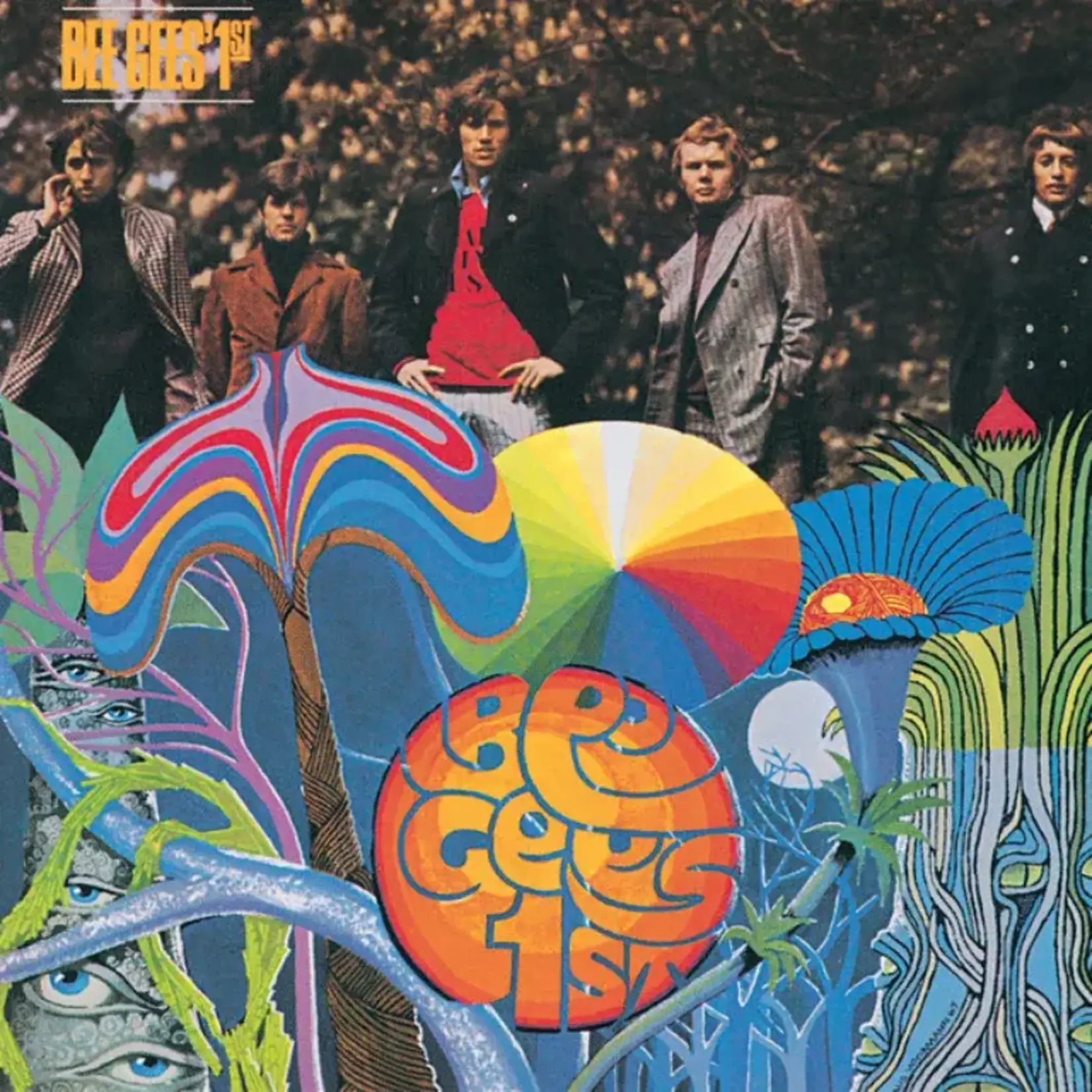 Vinyl Bee Gees - 1st  (Import)