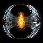 Vinyl Pearl Jam - Dark Matter  (Black Vinyl Version)