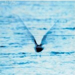 Vinyl Ryo Fukui - Mellow Dream