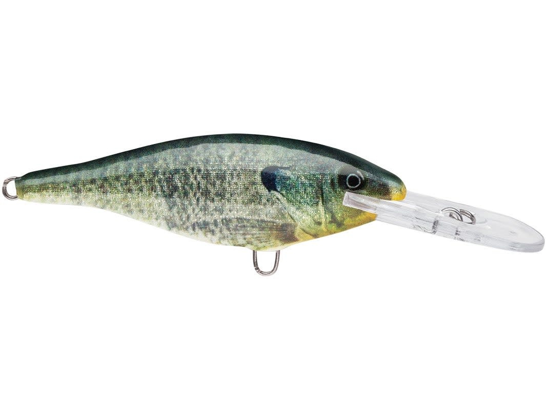 Rapala Shad Rap - Live Pumpkinseed