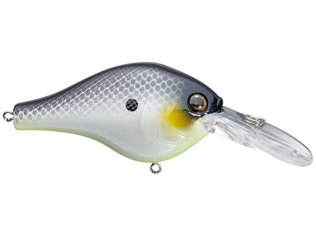 Buy Berkley Crankbait Hard Fishing Lures Online at desertcartParaguay