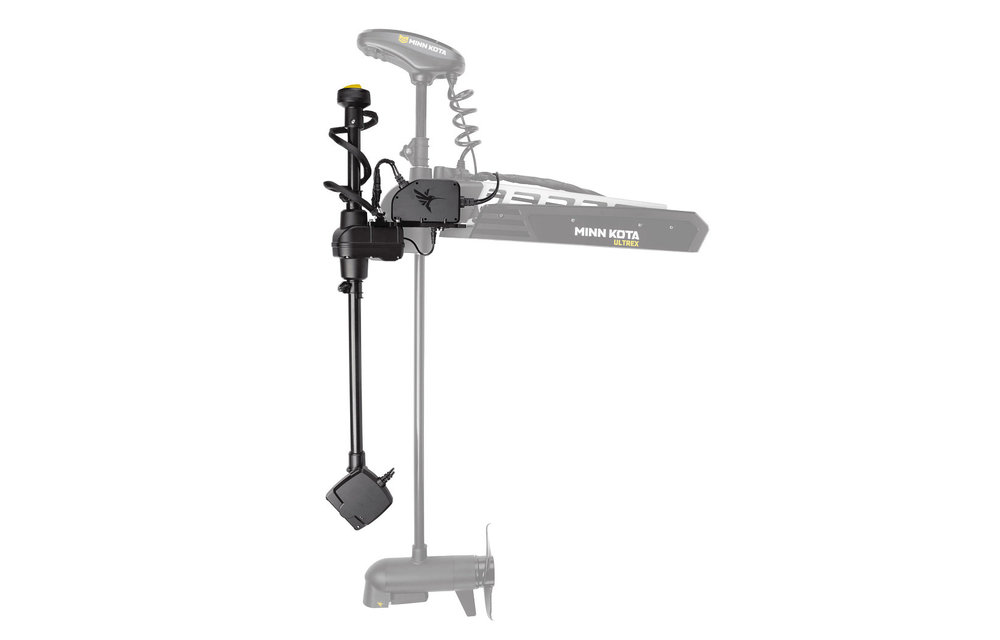 Hummingbird Mega Live Imaging Target lock The Great Outdoors