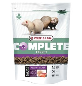 intune ferret food