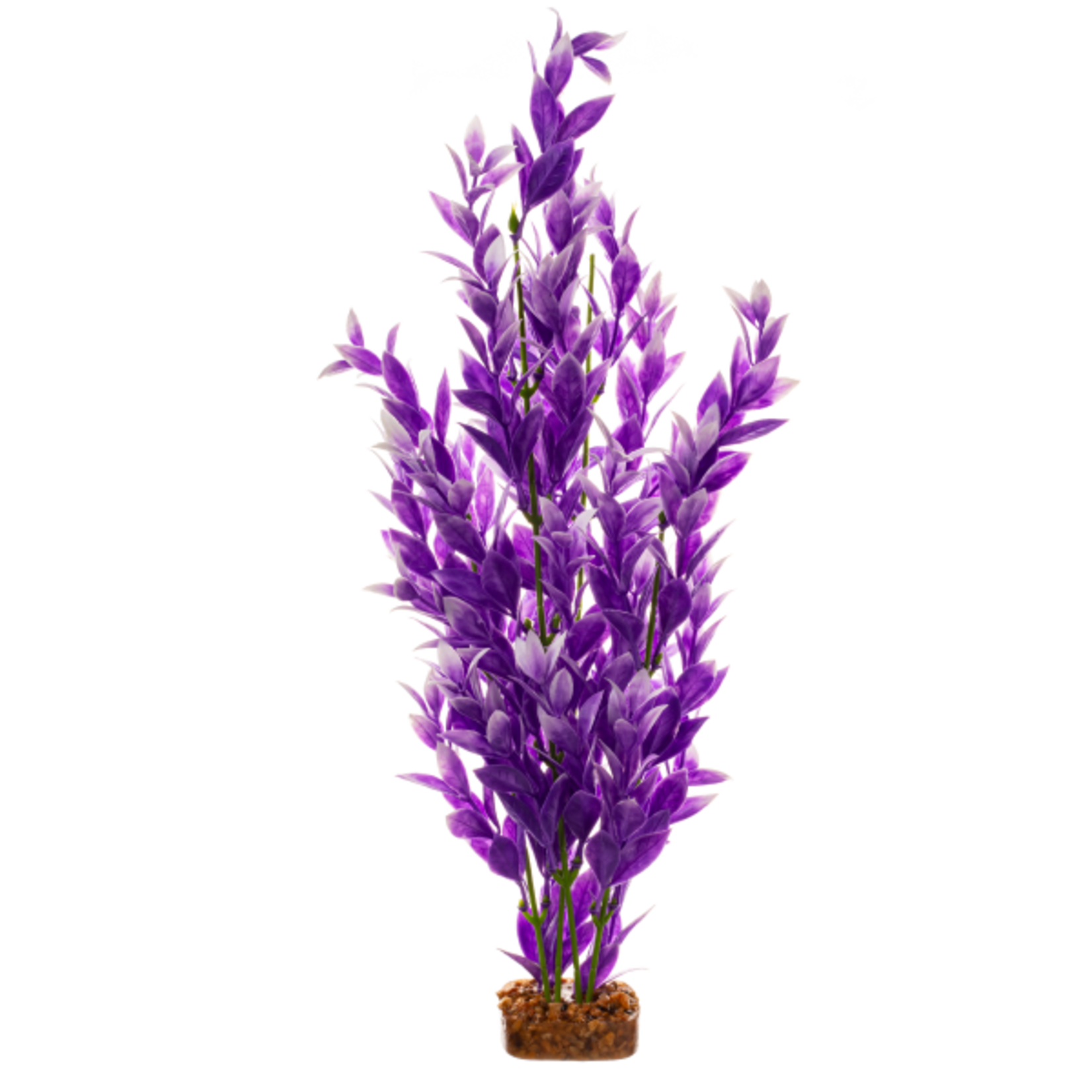 GloFish Tetra GloFish Plant Purple/White