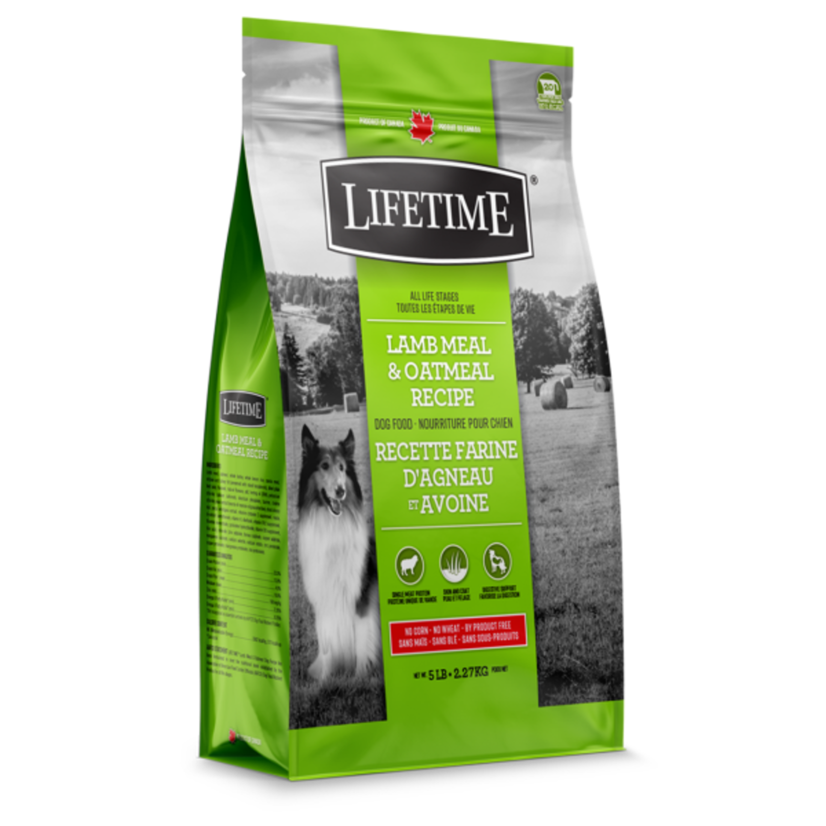 Lifetime Lifetime Dog ALS Lamb & Oatmeal 2.27 kg