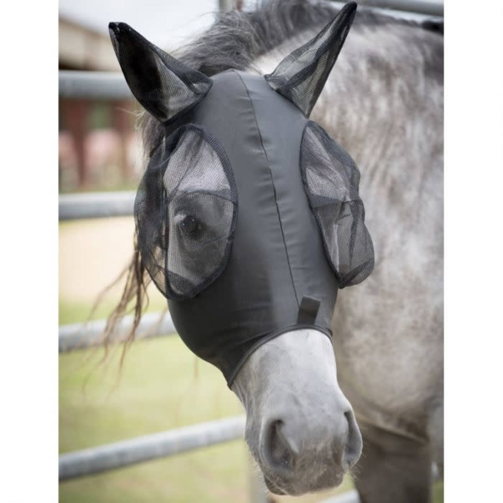 Canadian Horsewear CANADIAN HORSEWEAR Comfort Fit Lycra Fly Mask