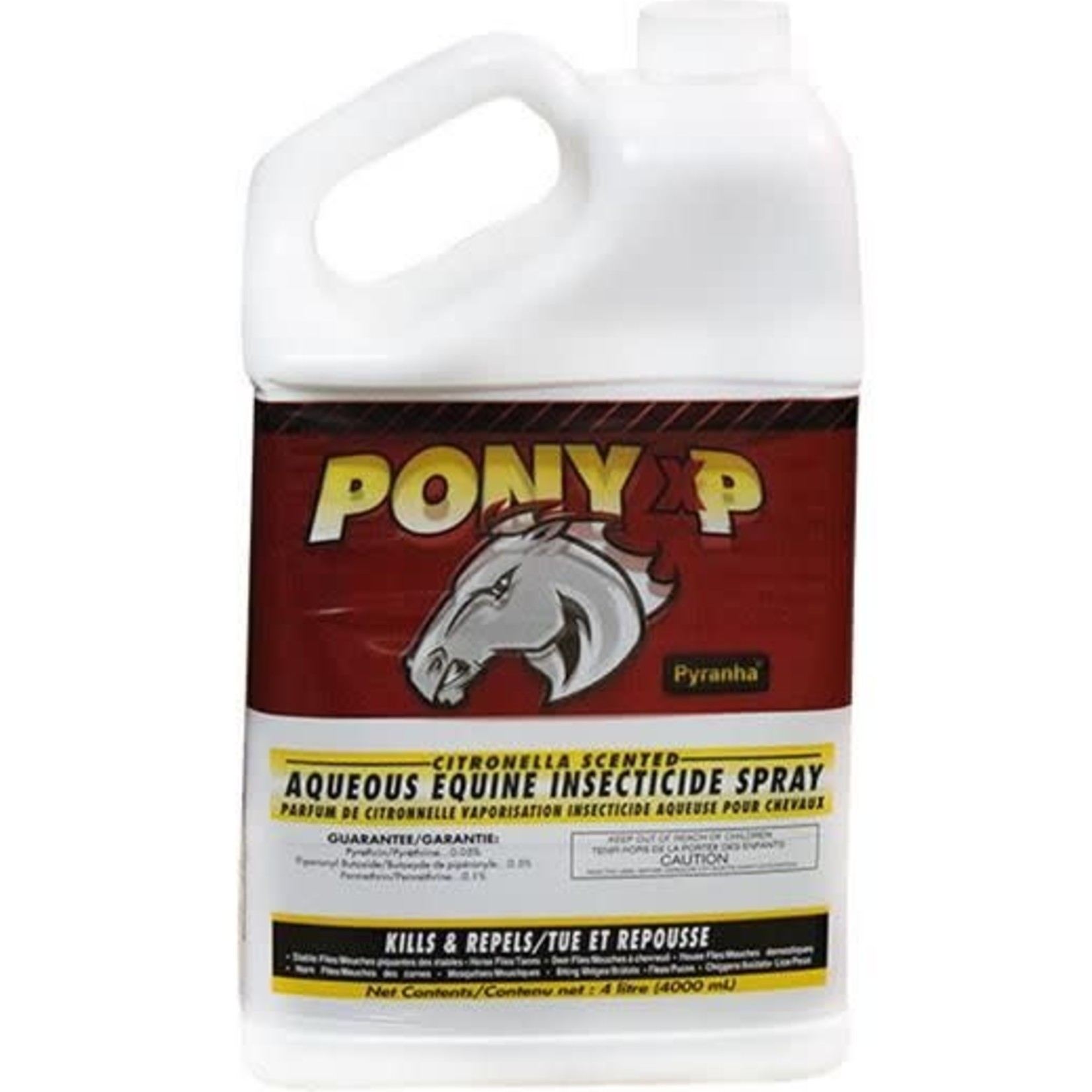 Pony XP 4L