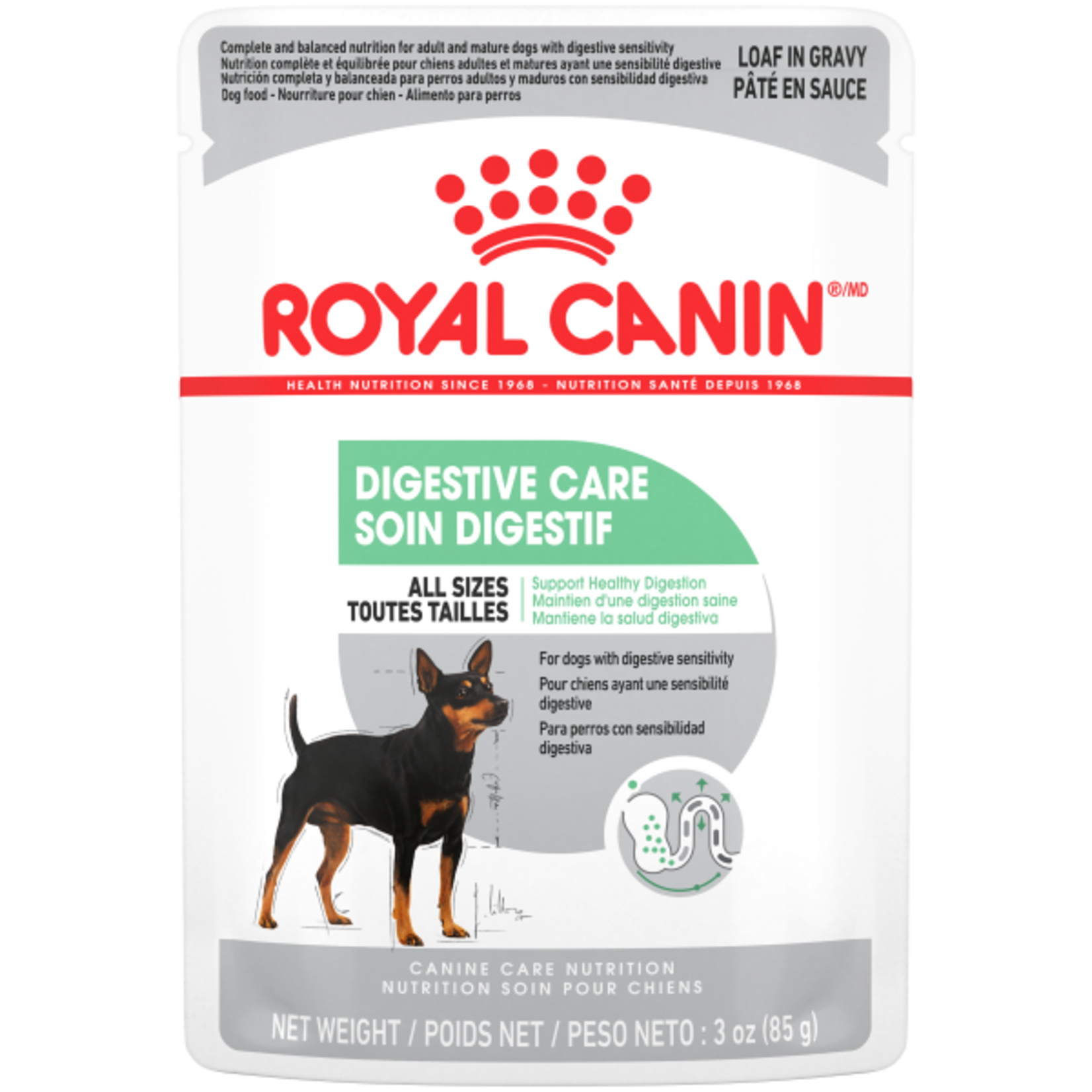 Royal Canin RC CCN Digestive Care Loaf in Gravy Pouch 85 g