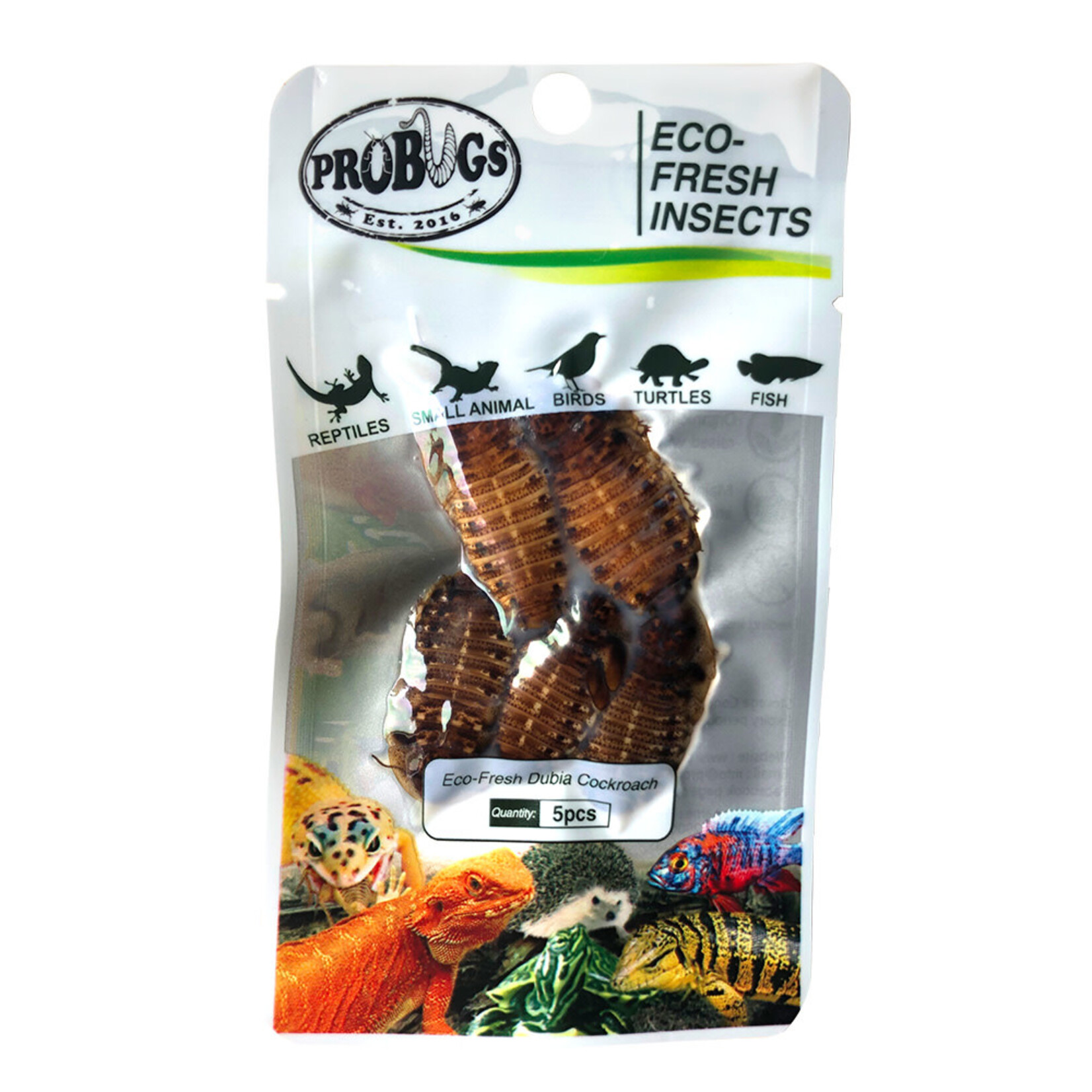 Probugs Dubia Cockroach package