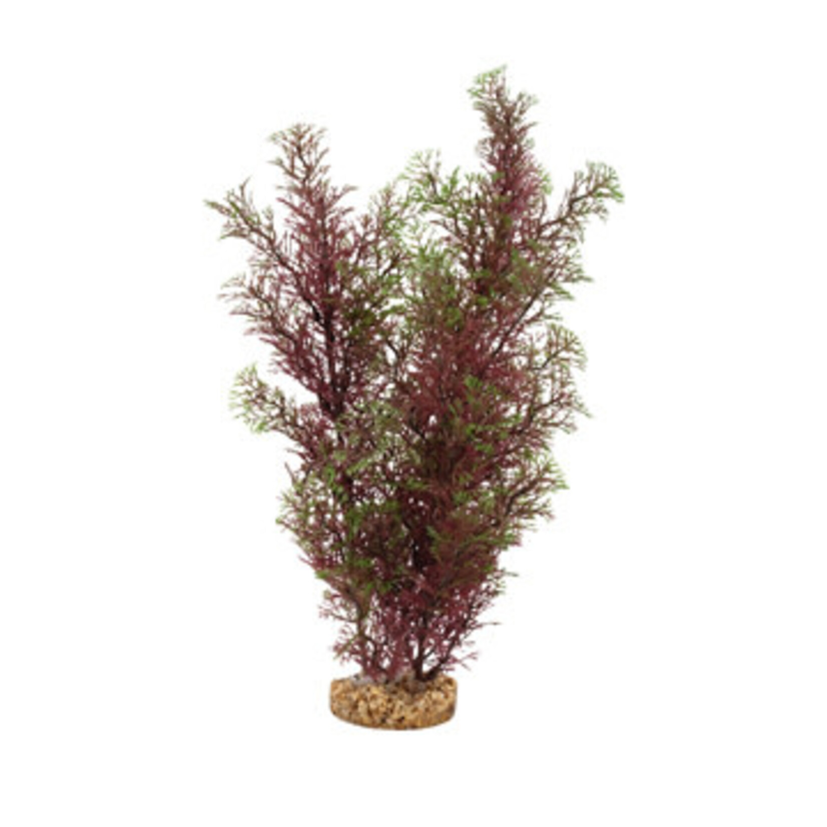 Fluval Fluval Aqualife Plant Scapes Red/Green Foxtail - 35.5 cm (14 in)