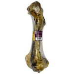 Silver Spur Buffalo Bone Femur Dino