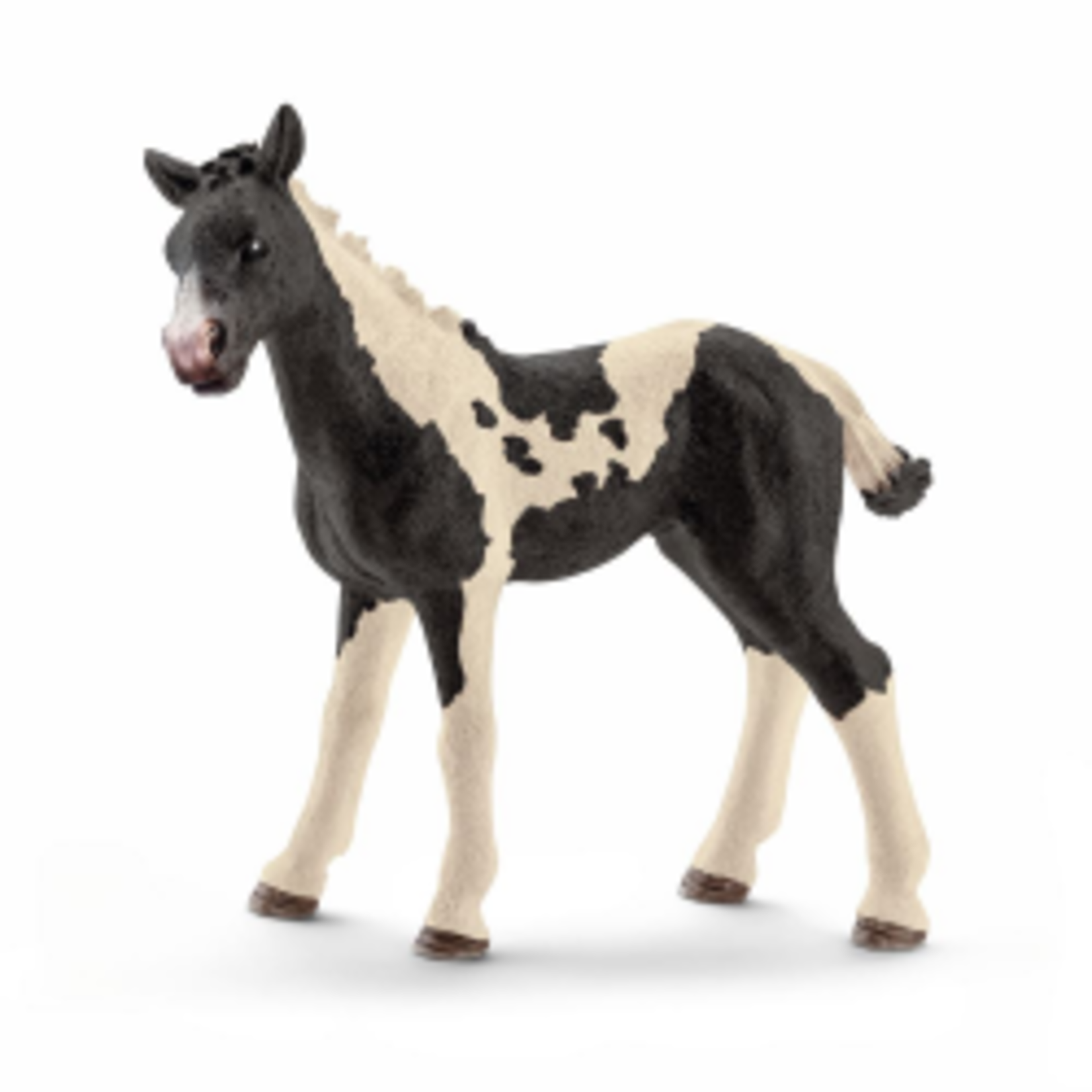 SCHLEICH FARM WORLD - PINTO FOAL