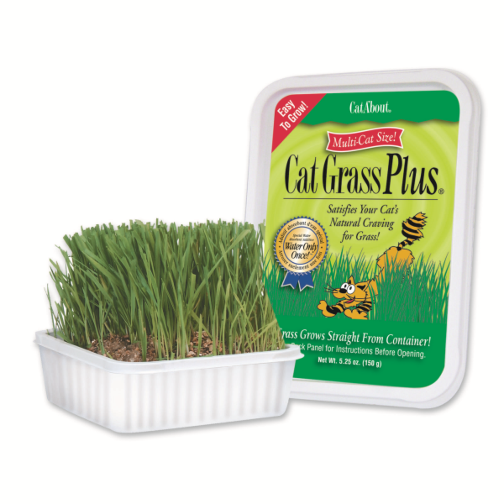 Miracle Care Miracle Care Cat A'Bout Cat Grass Plus - Multi Size 150 g