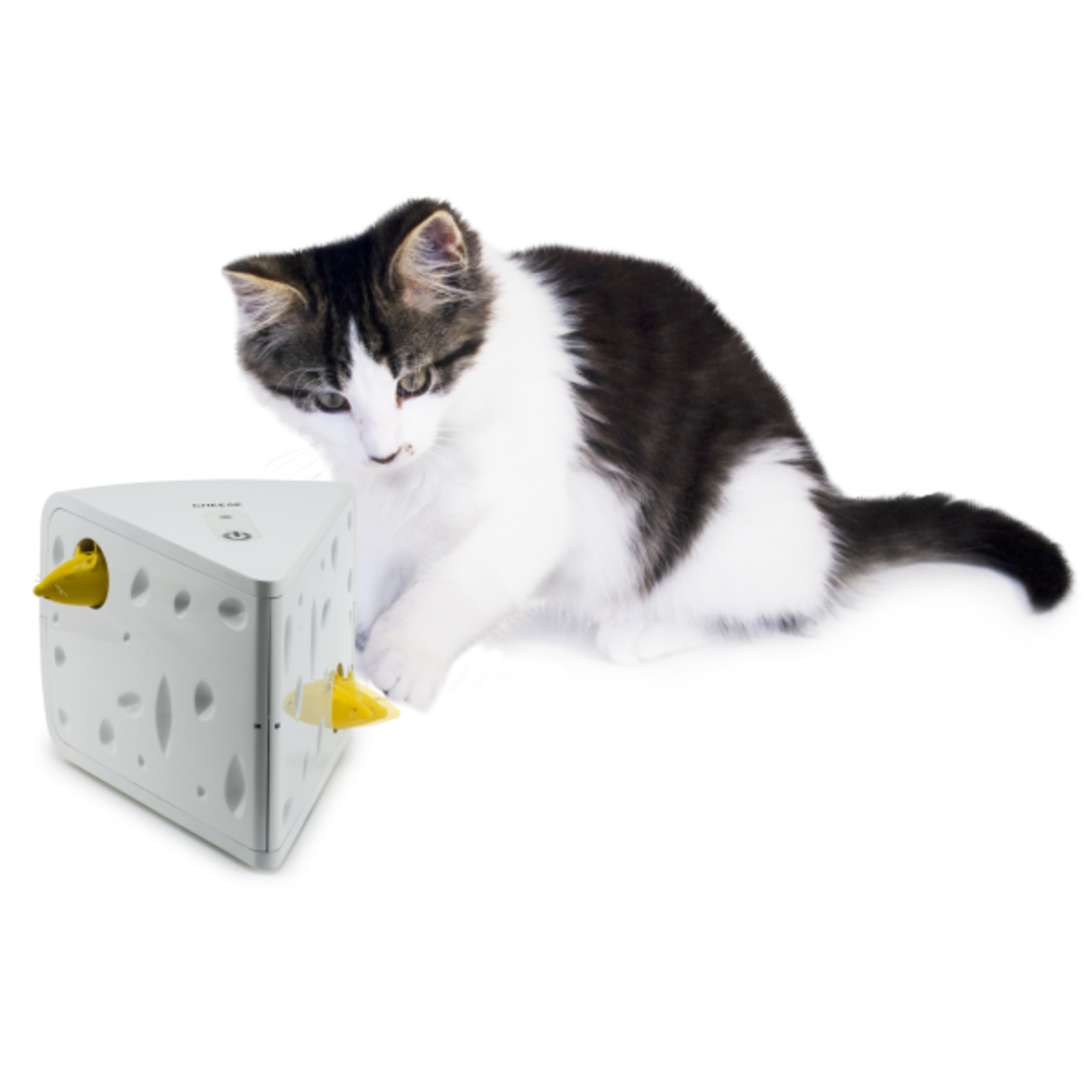 Froilicat FroliCat Cheese Automatic Cat Teaser