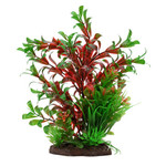 Fluval Fluval Aqualife Plant Scapes Red Ludwigia/Dwarf Sagittarius Plant Mix - 20 cm (8 in)