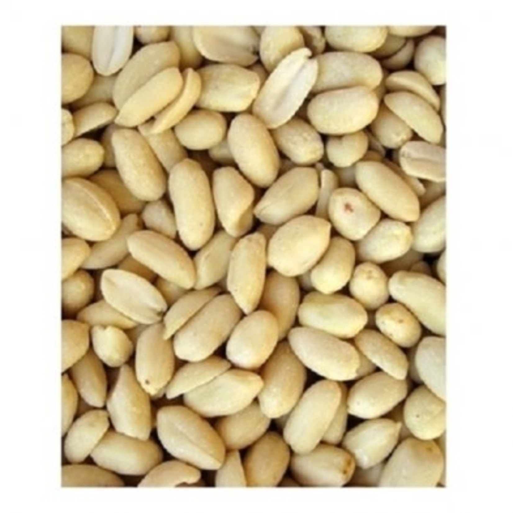 Seed to Sky STS Blanched Peanuts 10kg/22lb