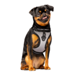 Canada Pooch Canada Pooch Everything Harness Mesh Reflective