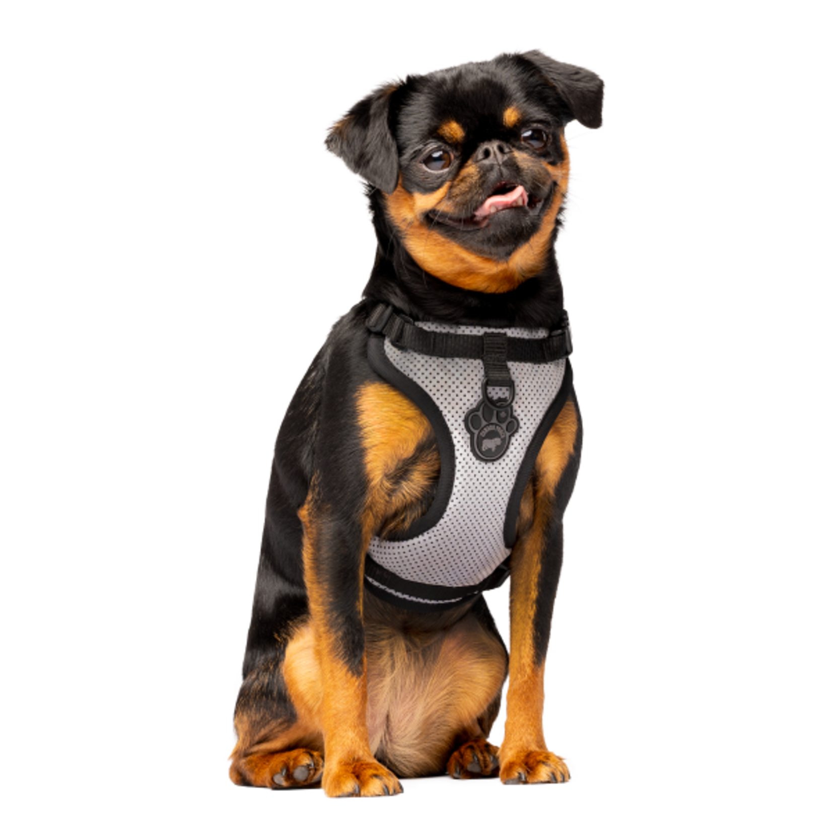 Canada Pooch Canada Pooch Everything Harness Mesh Reflective