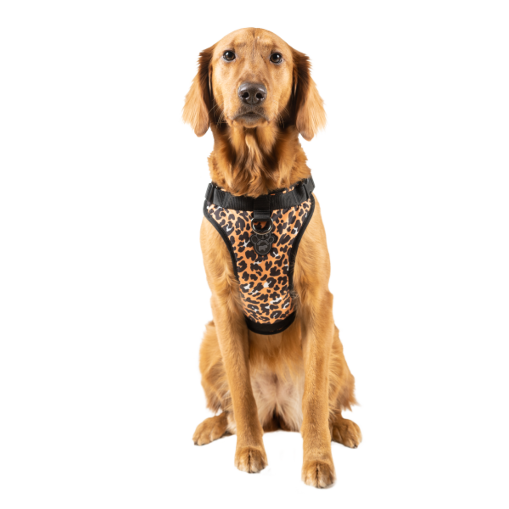 Canada Pooch Canada Pooch Everything Harness Leopard