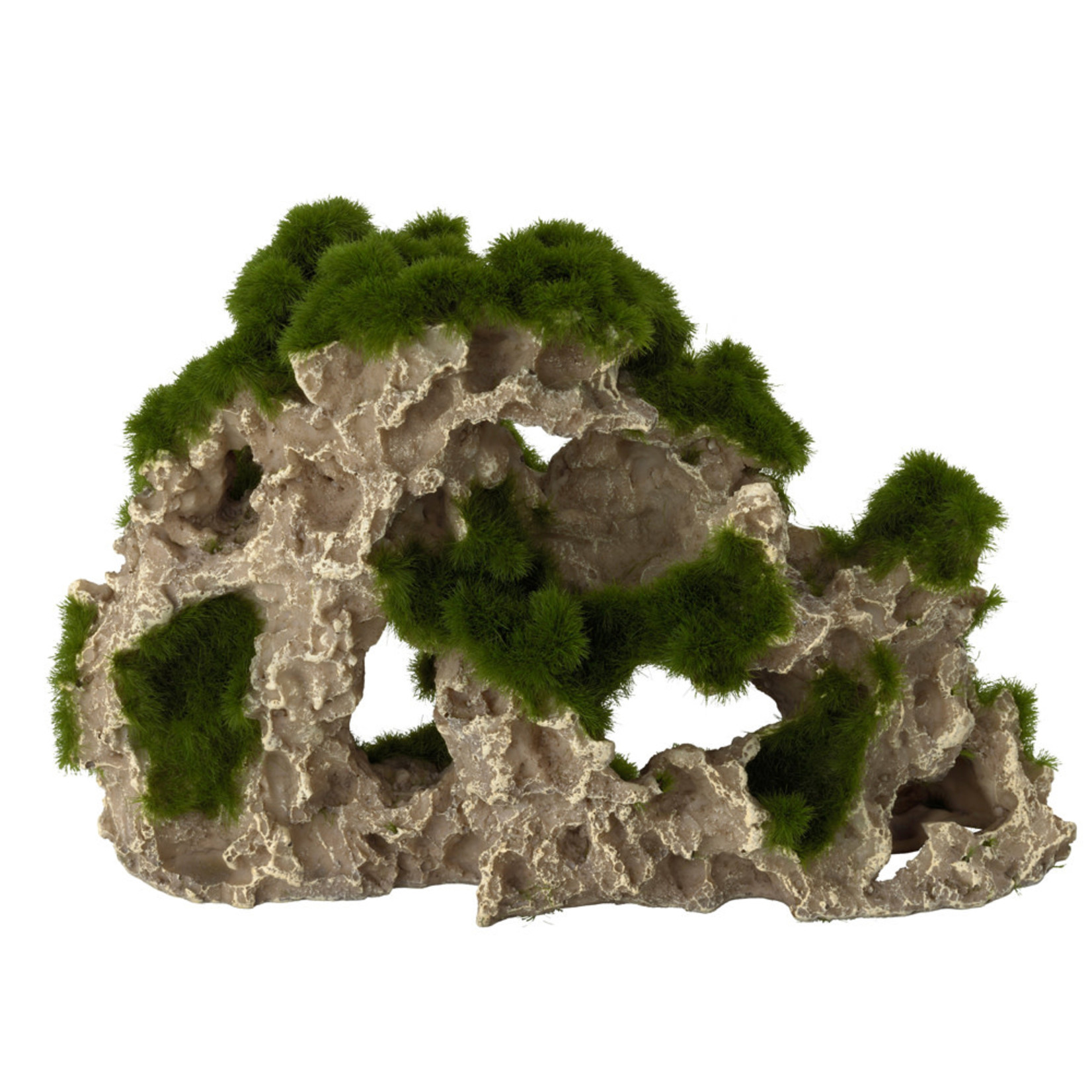 Aqua Della Aqua Della - Moss Rock - Medium