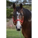 Western Rawhide Signature Fashion Halter with Black Nickel Finish