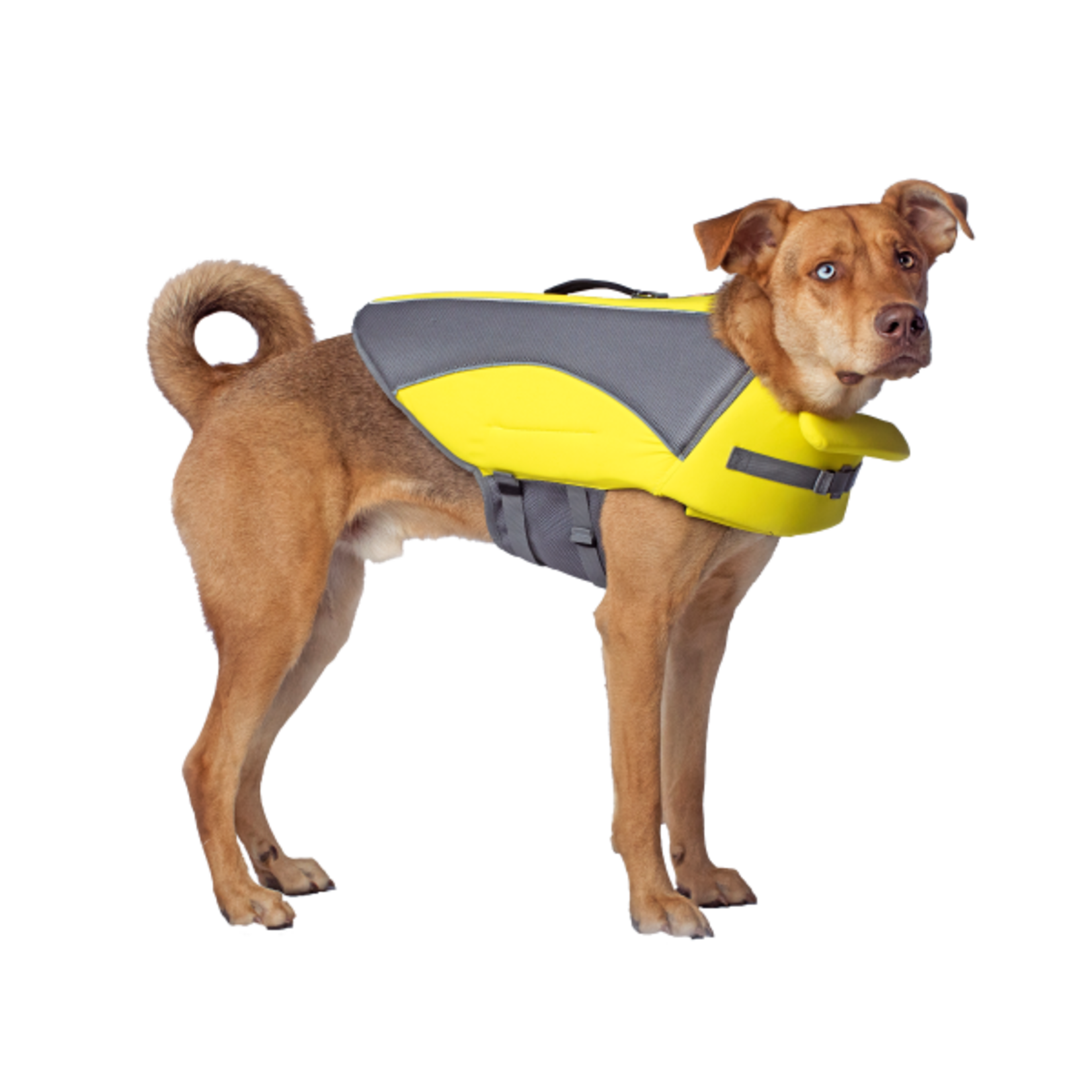 Canada Pooch Canada Pooch Wave Rider Life Jacket Yellow