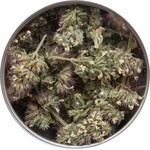 Trippin Paws Bud Life Tin 1/2 OZ | Catnip