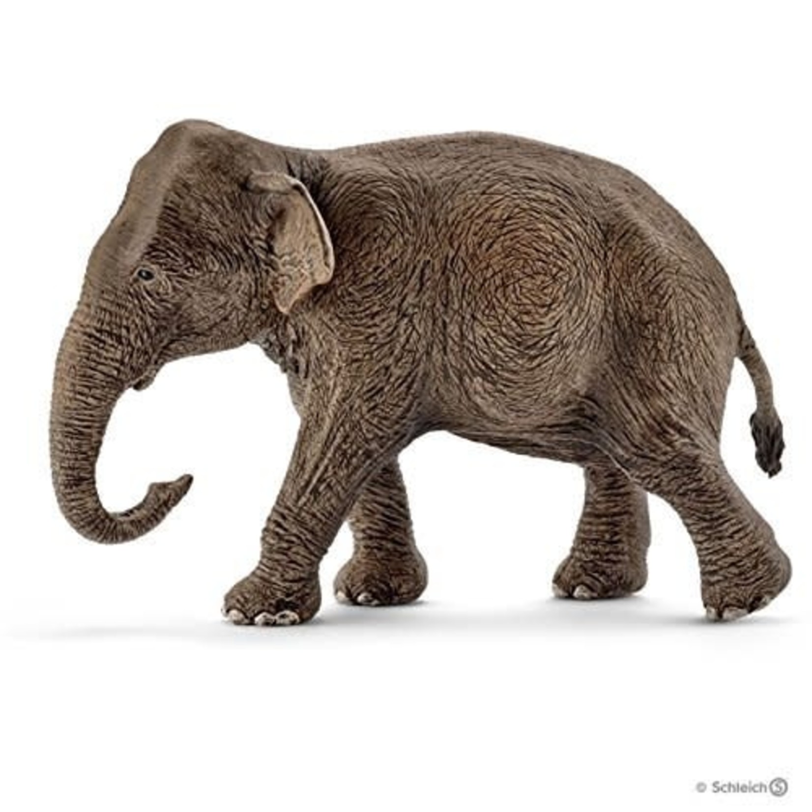 SCHLEICH SCHLEICH - Asian Elephant Female